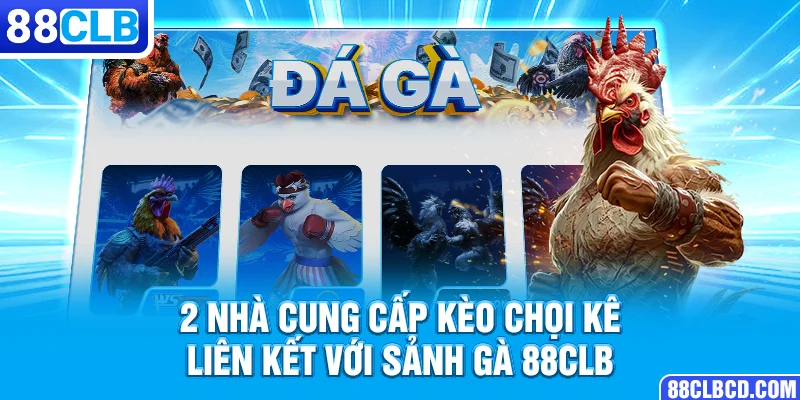 2 nhà cung cấp kèo chọi kê liên kết với sảnh gà 88CLB
