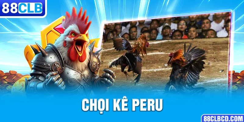 Chọi kê Peru
