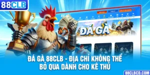 Đá Gà 88CLB | Địa Chỉ Không Thể Bỏ Qua Dành Cho Kê Thủ