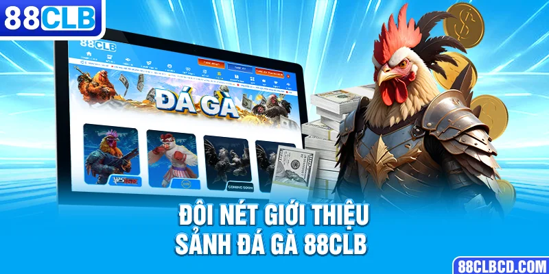 Đôi nét giới thiệu sảnh Đá Gà 88CLB